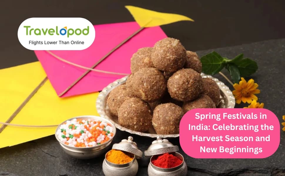 Spring Festivals in India: Celebrating the Harvest Season and New Beginnings