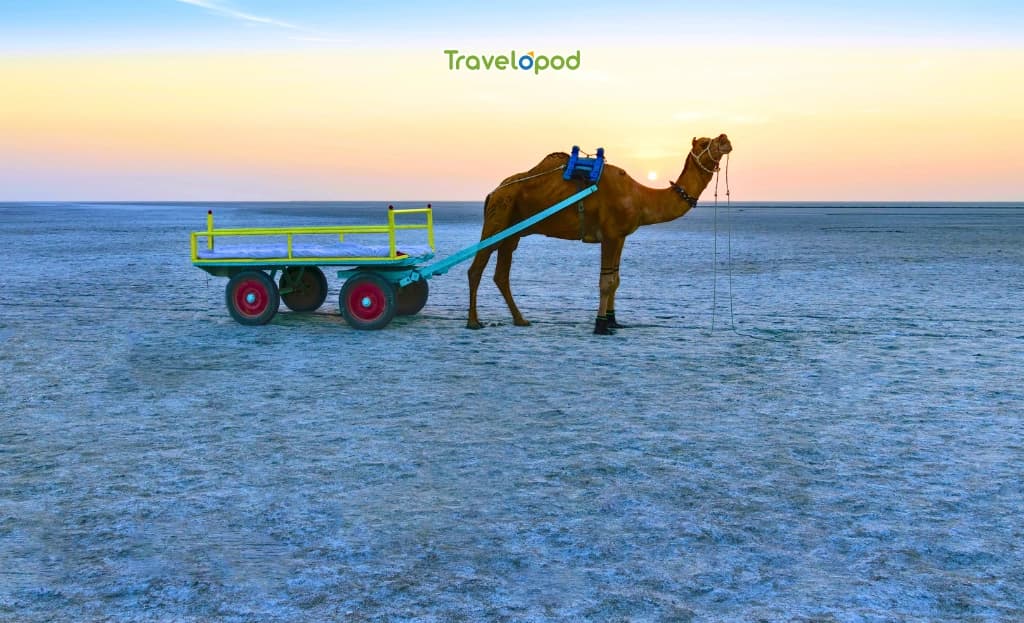 Rann of Kutch, Gujarat