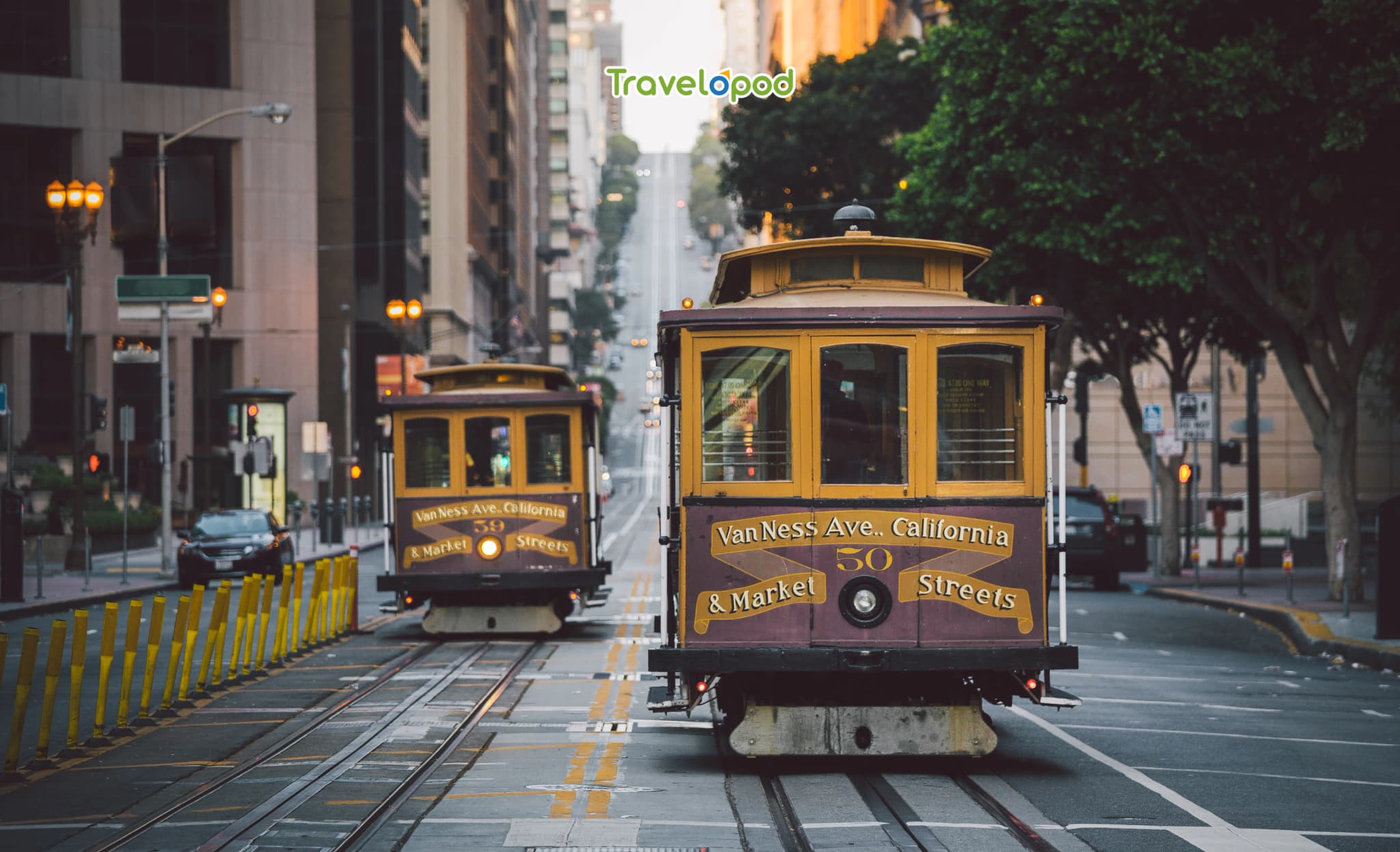 Cultural Allure of San Francisco