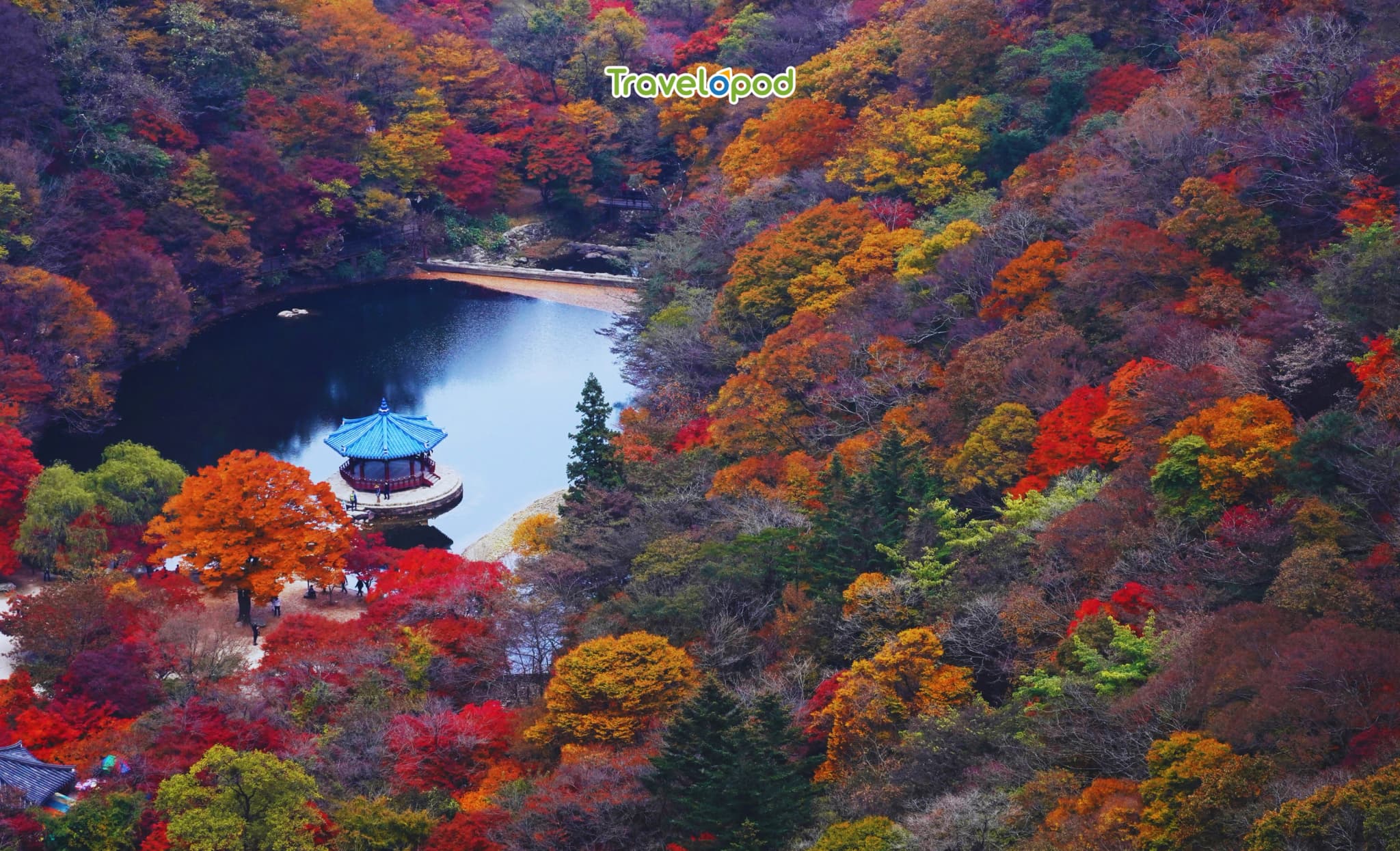 Naejangsan National Park, South Korea: Unapologetically Red
