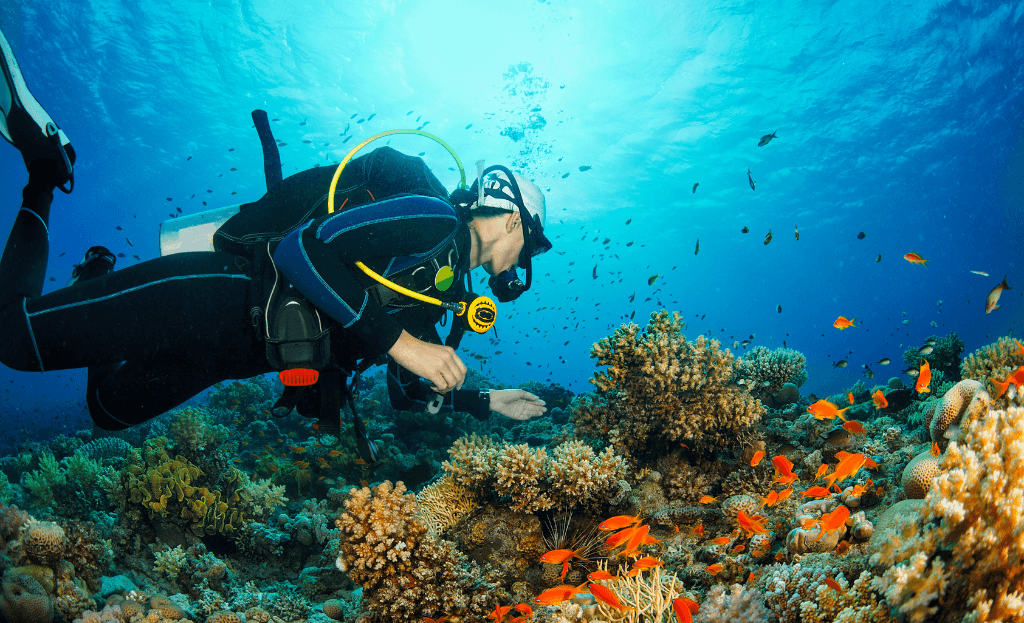 Explore the Most Unique Scuba Diving Destinations in the World