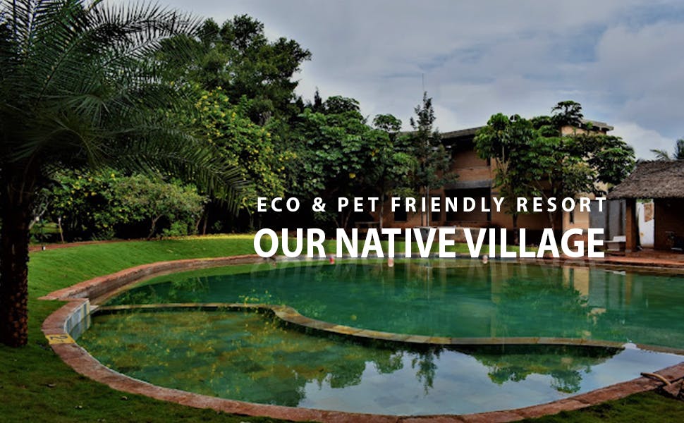 Experience Village Life at Our Native Village Eco-Resort