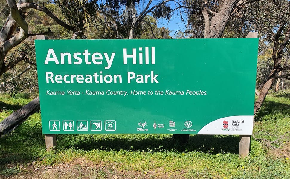 Anstey Hill Recreation Park