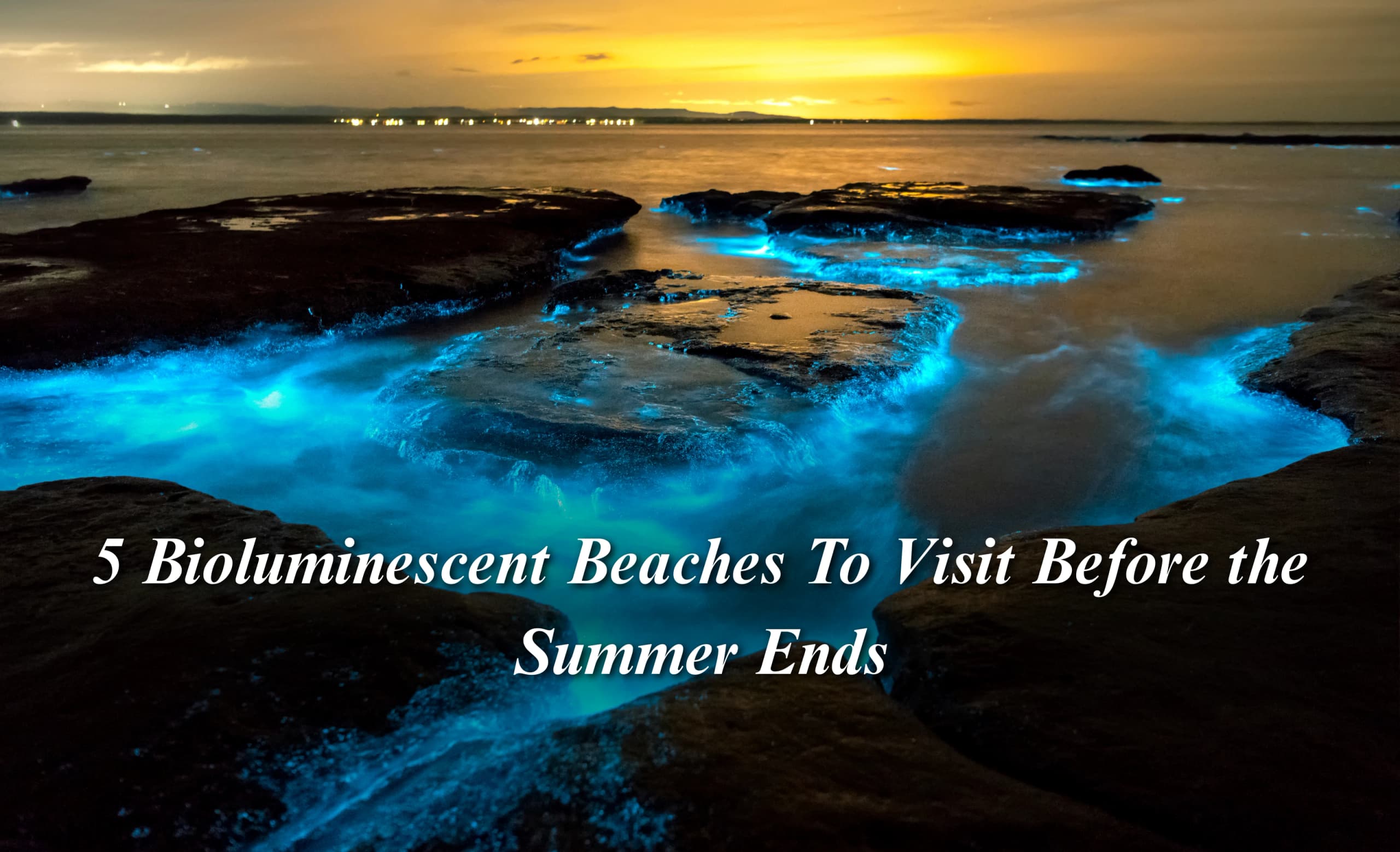 5 Bioluminescent Beaches To Visit Before the Summer Ends