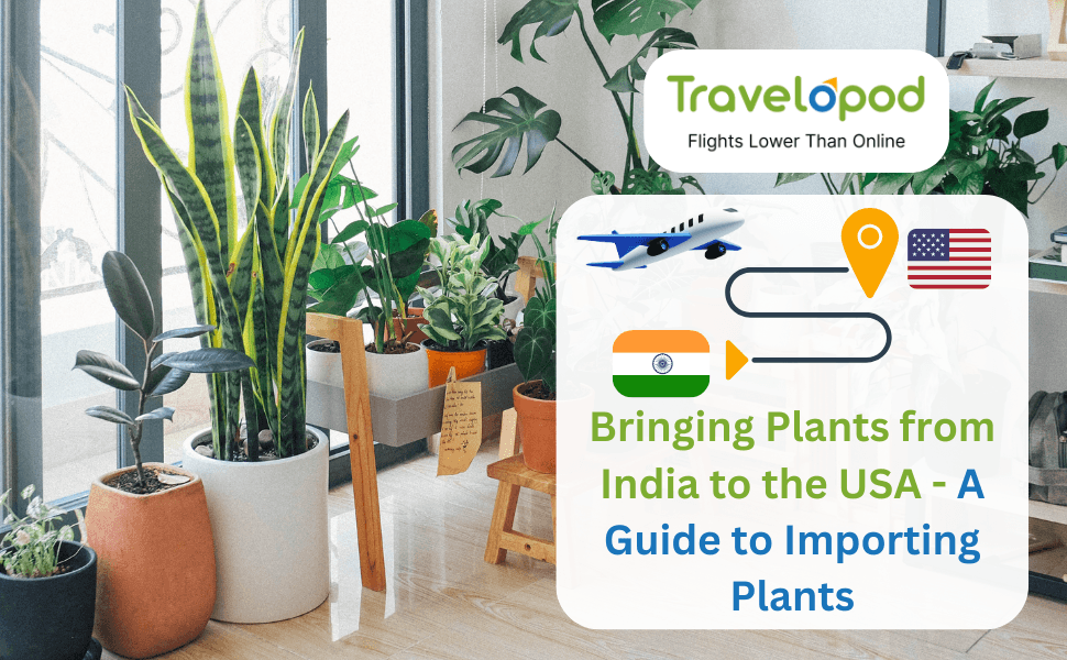 Bringing Plants from India to the USA