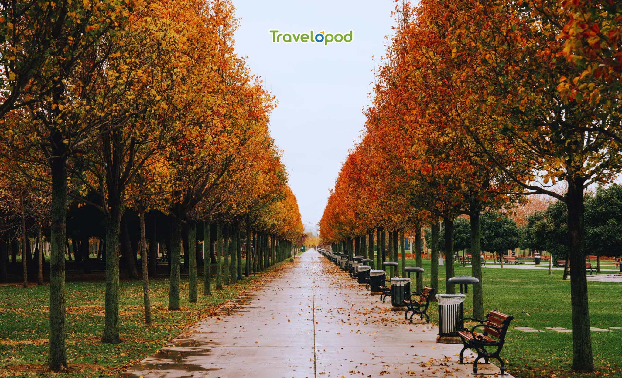 Loire Valley, France: Wine & Warm Tones