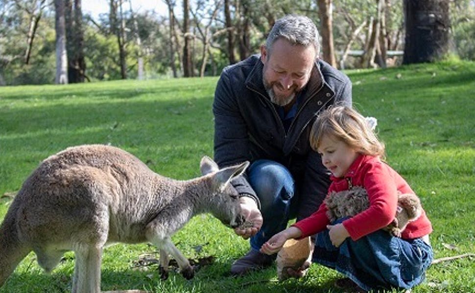 Cleland Conservation Park