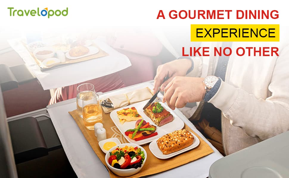 A Gourmet Dining Experience Like No Other