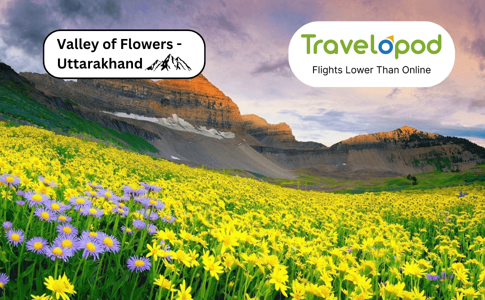 Valley of Flowers - Uttarakhand