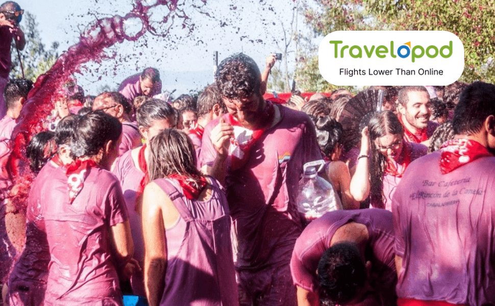 Haro Wine Festival -  A Harvest of Flavors, A Festival of Joy