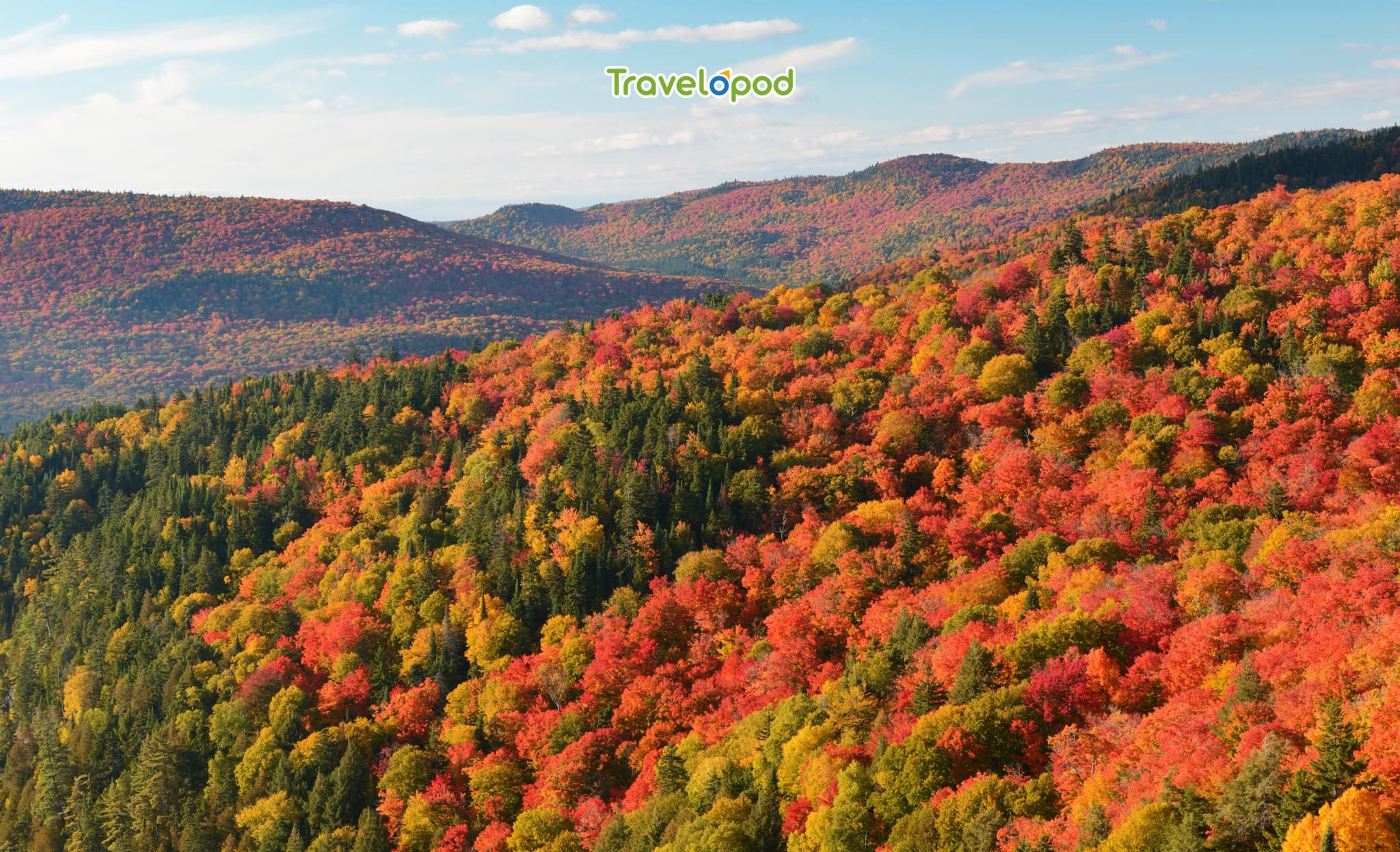  Laurentian Mountains, Canada: Vibrant Tapestry of Reds & Oranges