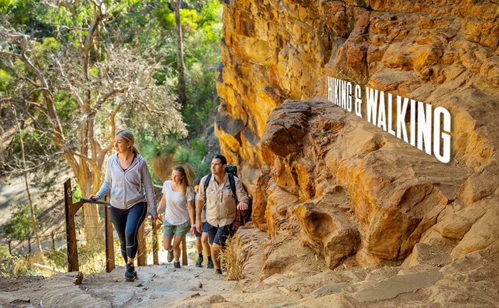 Hiking & Walking Trails: Your Gateway to Nature’s Wonders