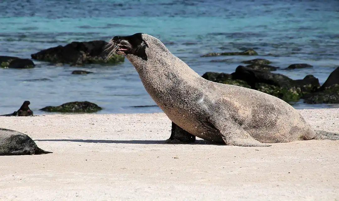 Galapagos Family Cruise