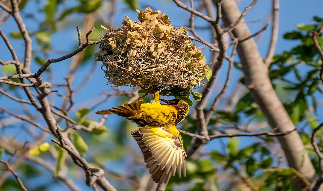 Tour highlight image