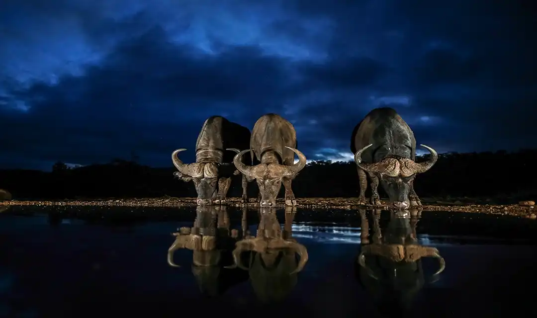 Tour highlight image