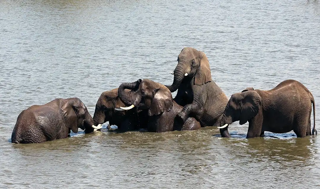 Tour highlight image