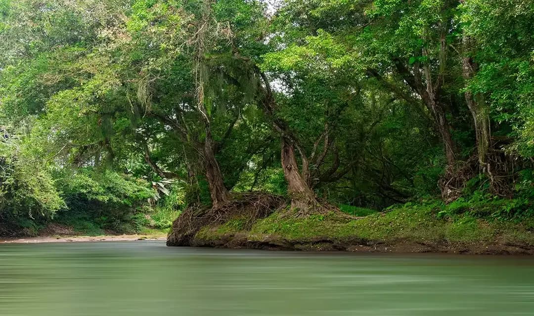 Costa Rica Highlights