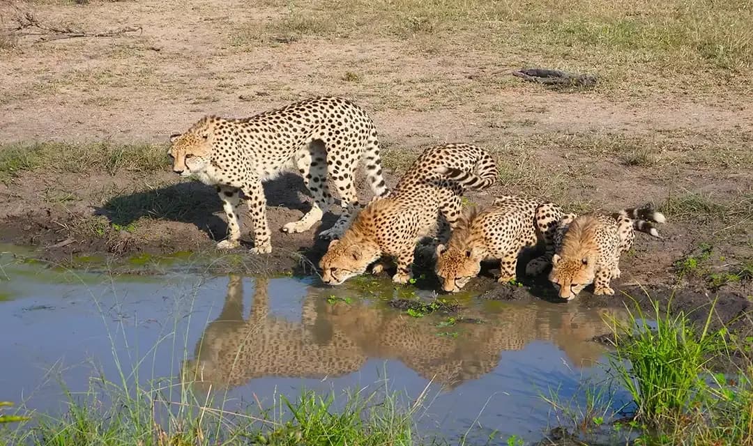 Tour highlight image