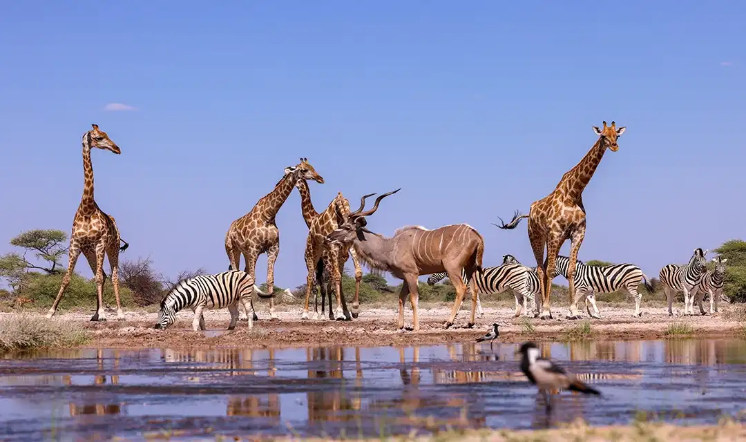 Tour highlight image