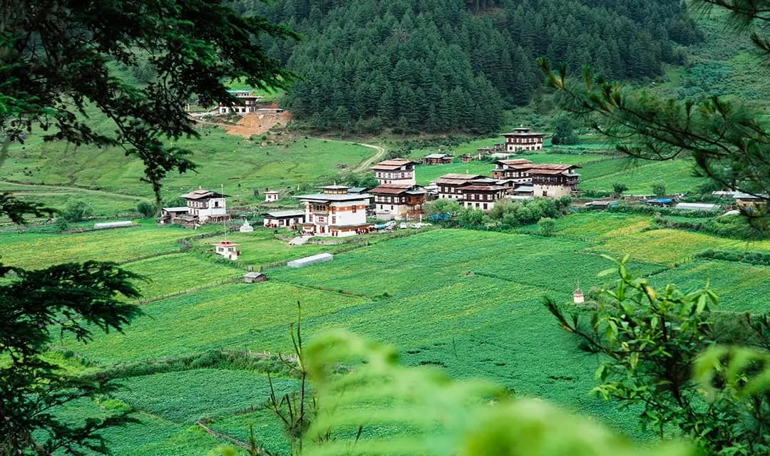 Tour highlight image