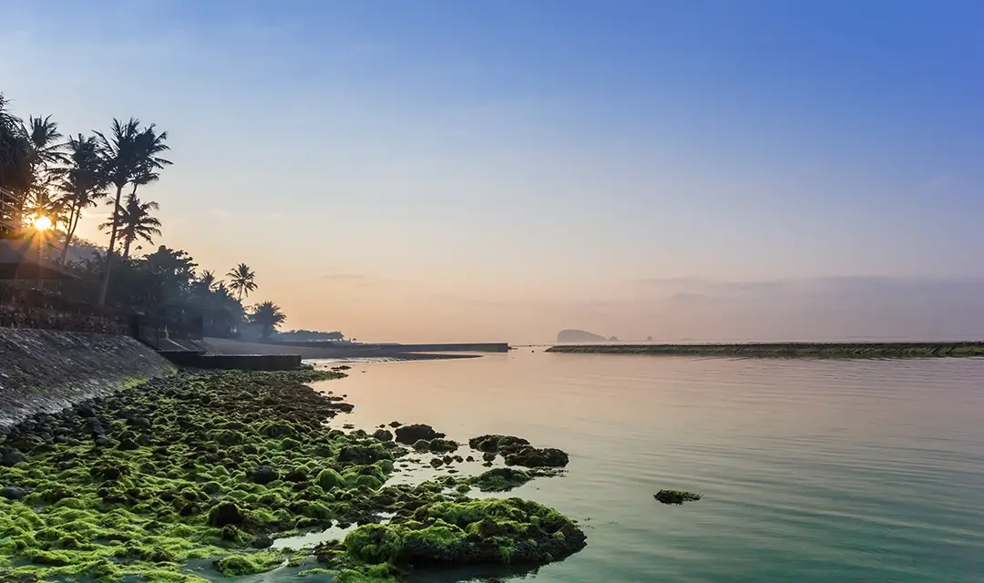 Tour highlight image