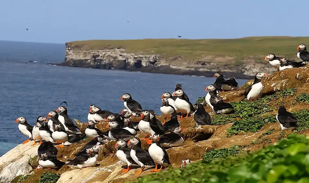 Tour highlight image