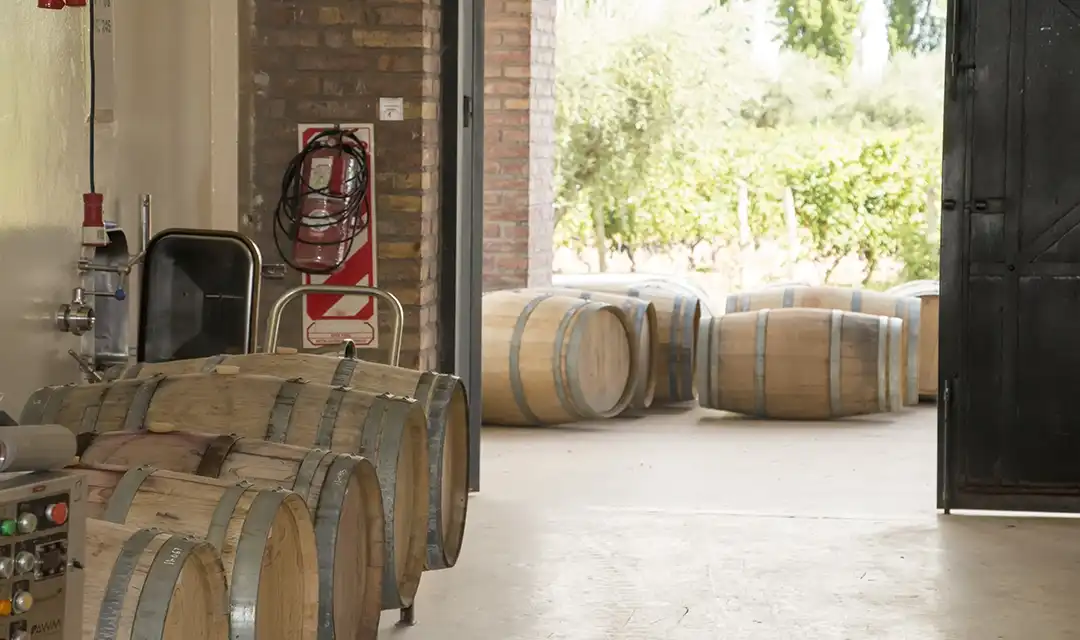 Tour highlight image