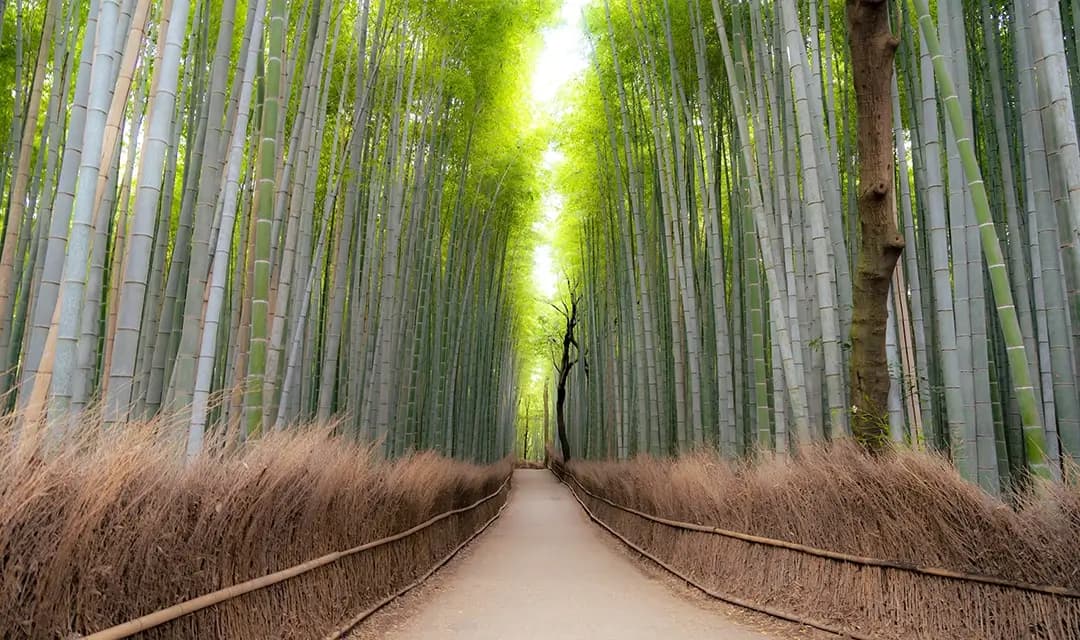 Tour highlight image