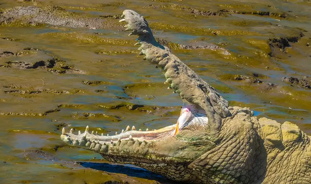 Tour highlight image