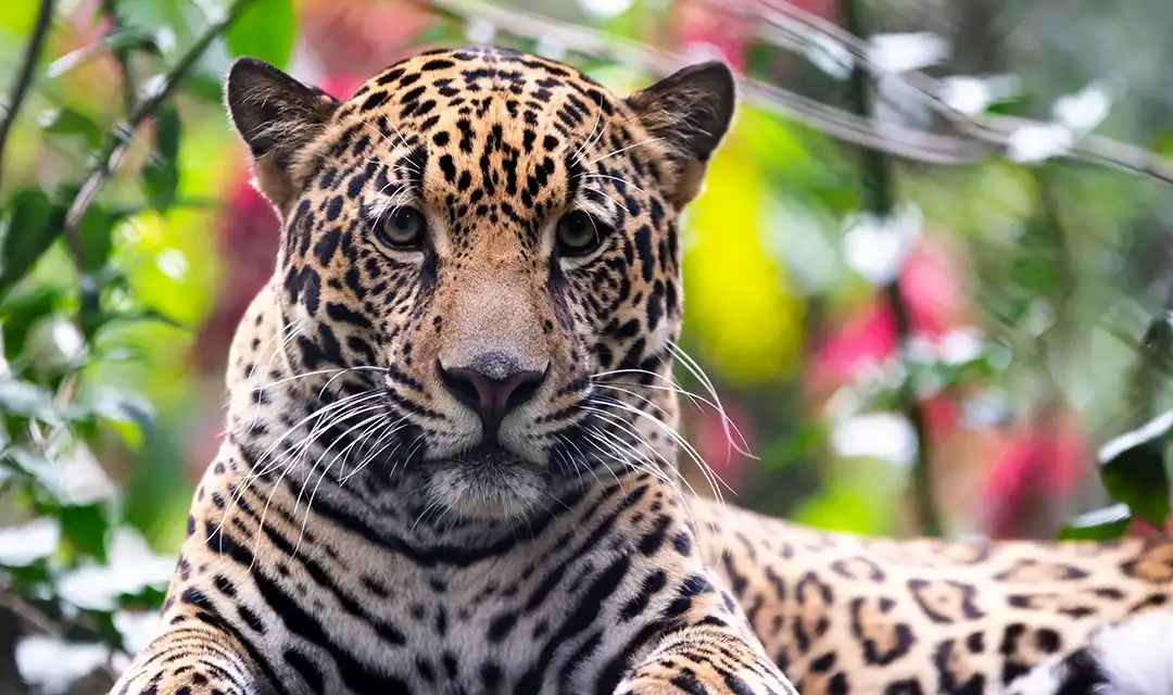 Tour highlight image