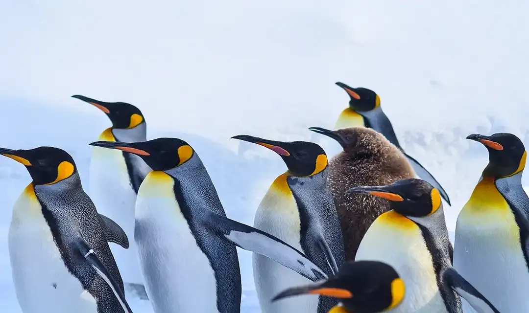 Tour highlight image