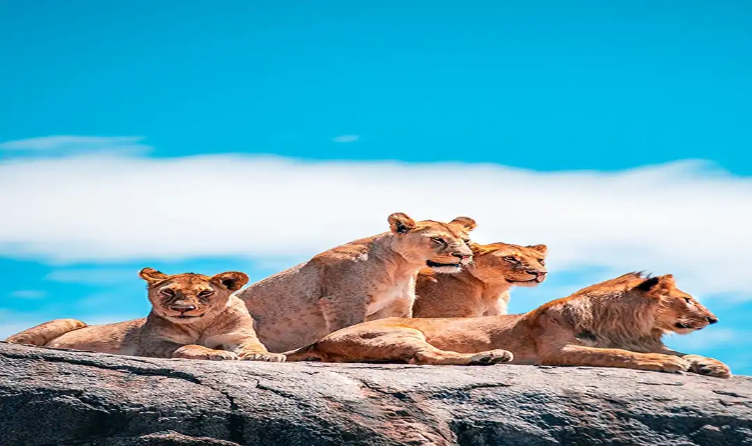 Tour highlight image