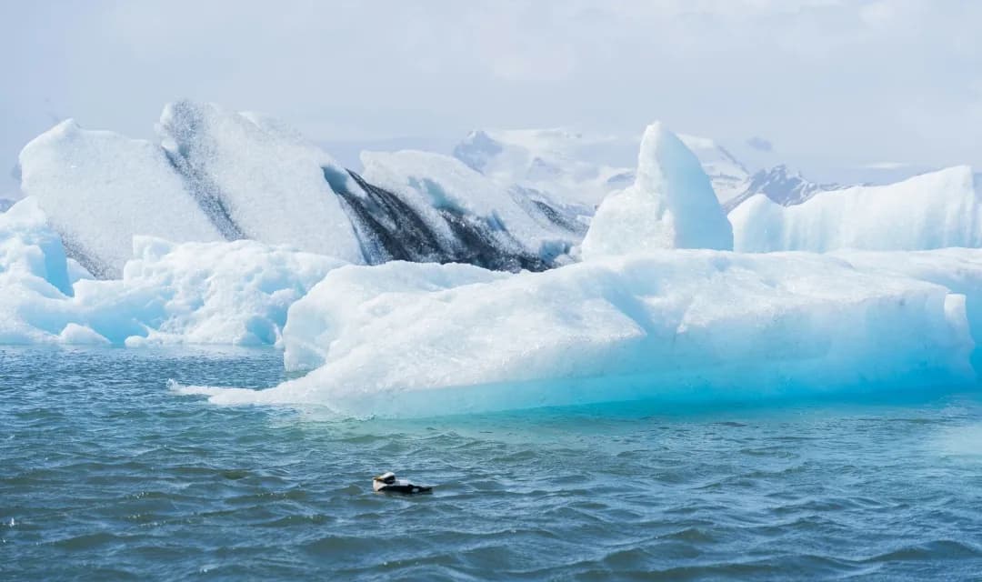 Tour highlight image