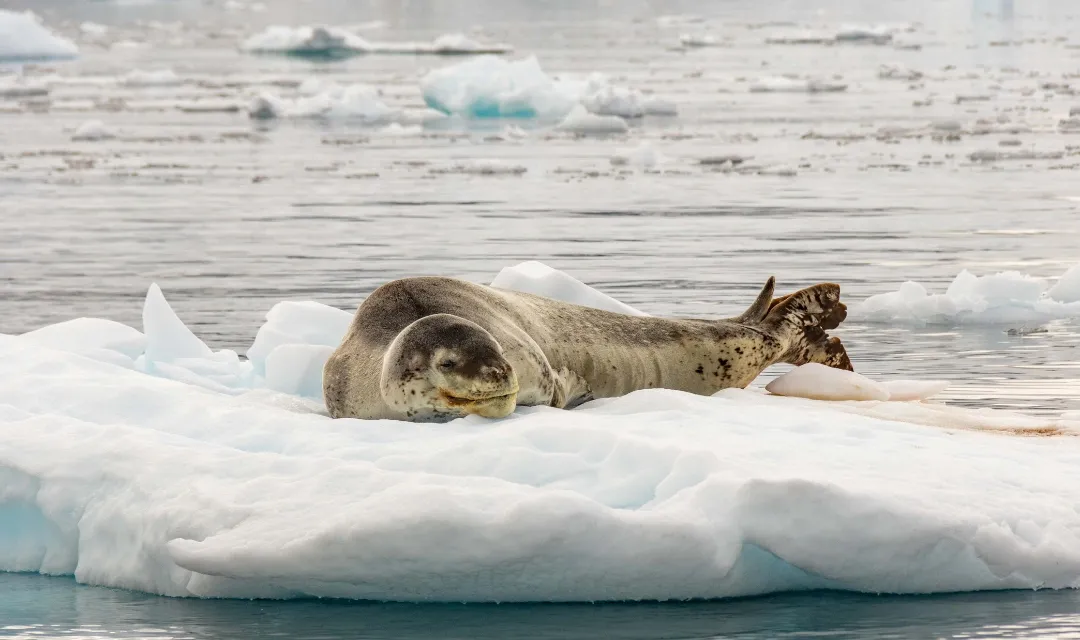 Tour highlight image