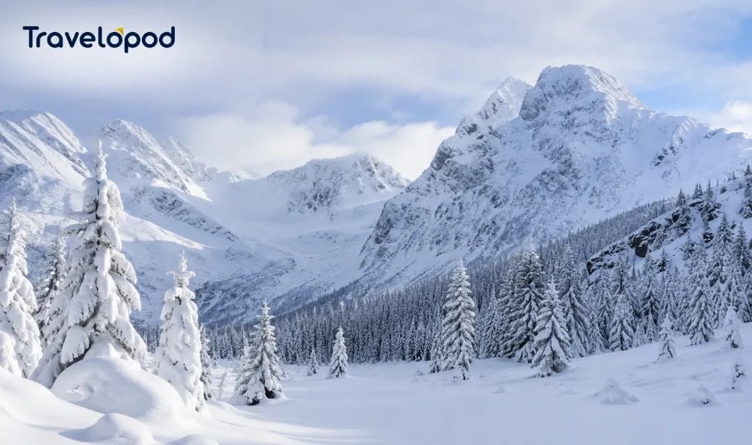 November Fresh Snow & Untouched Landscapes