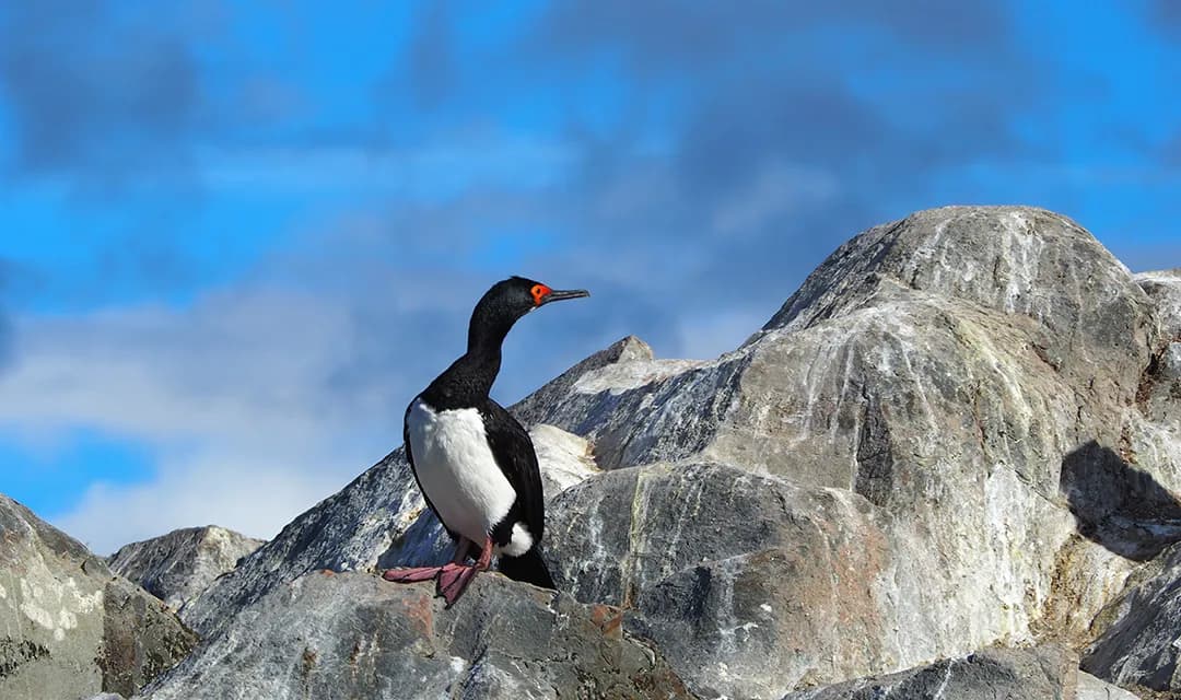 Tour highlight image