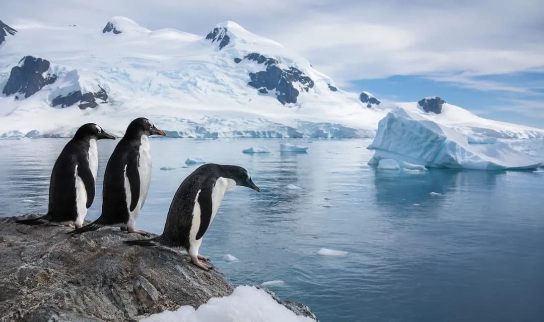 Best Time to See Wildlife