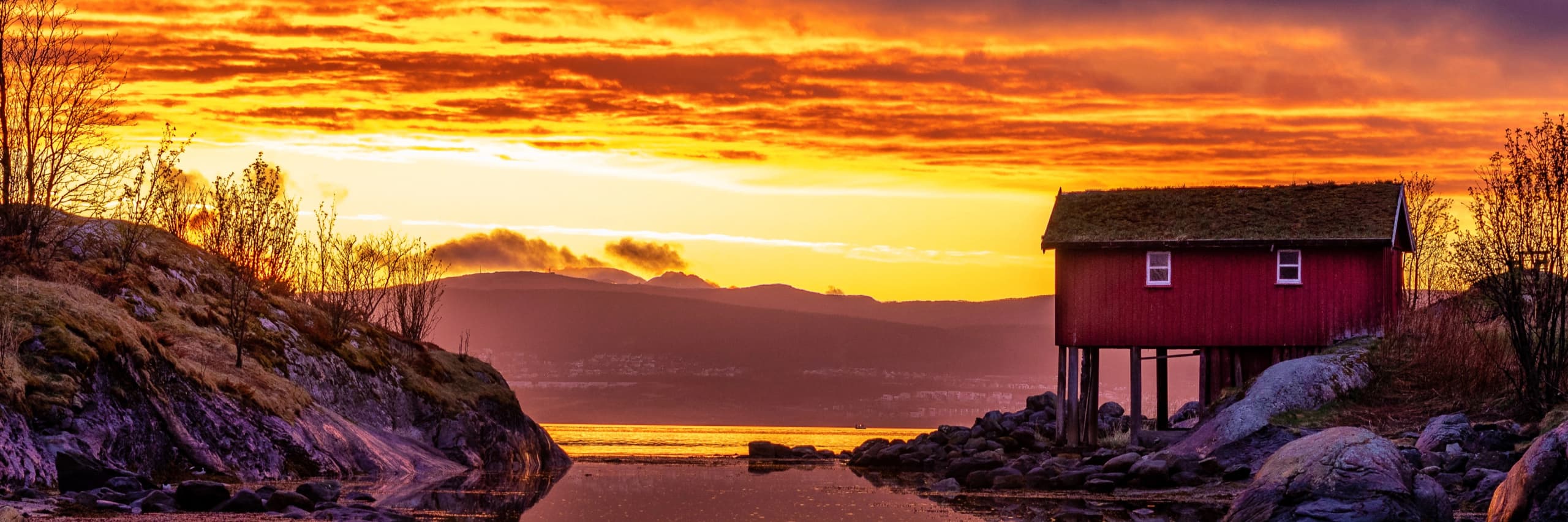 Why an Arctic Expedition Should Be on Your Bucket List