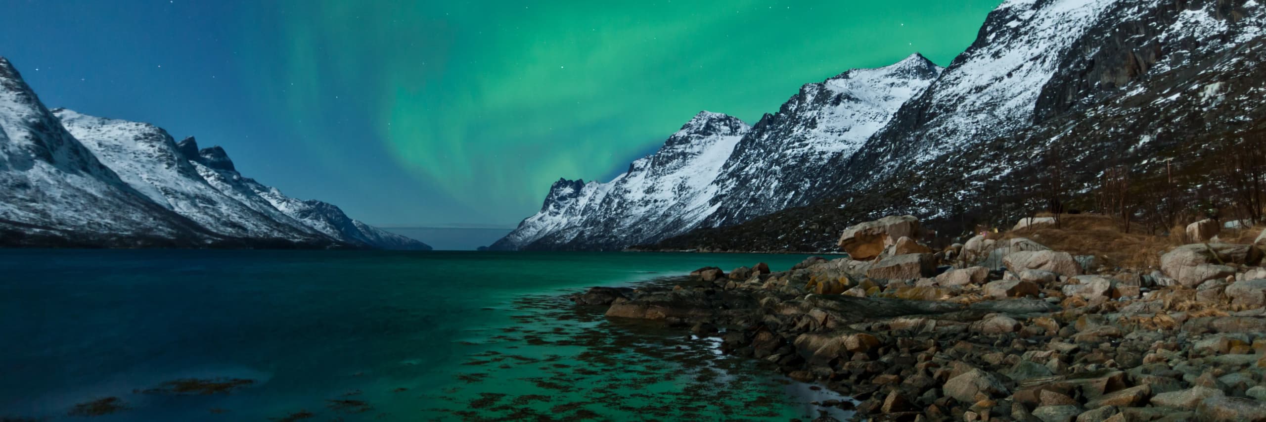 Best Arctic Expedition Cruises 2026