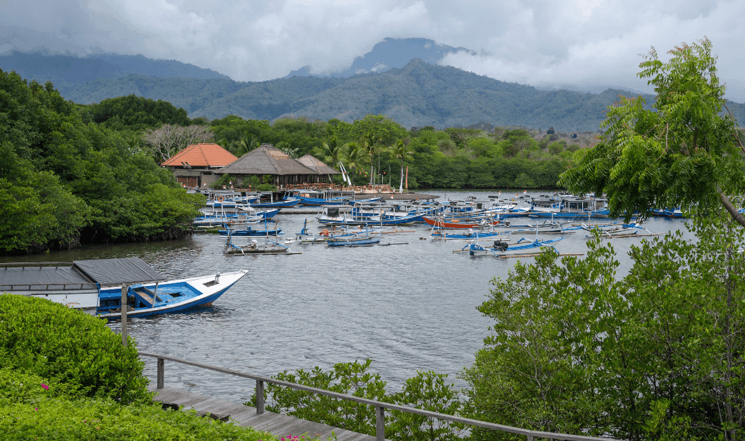 Tour highlight image