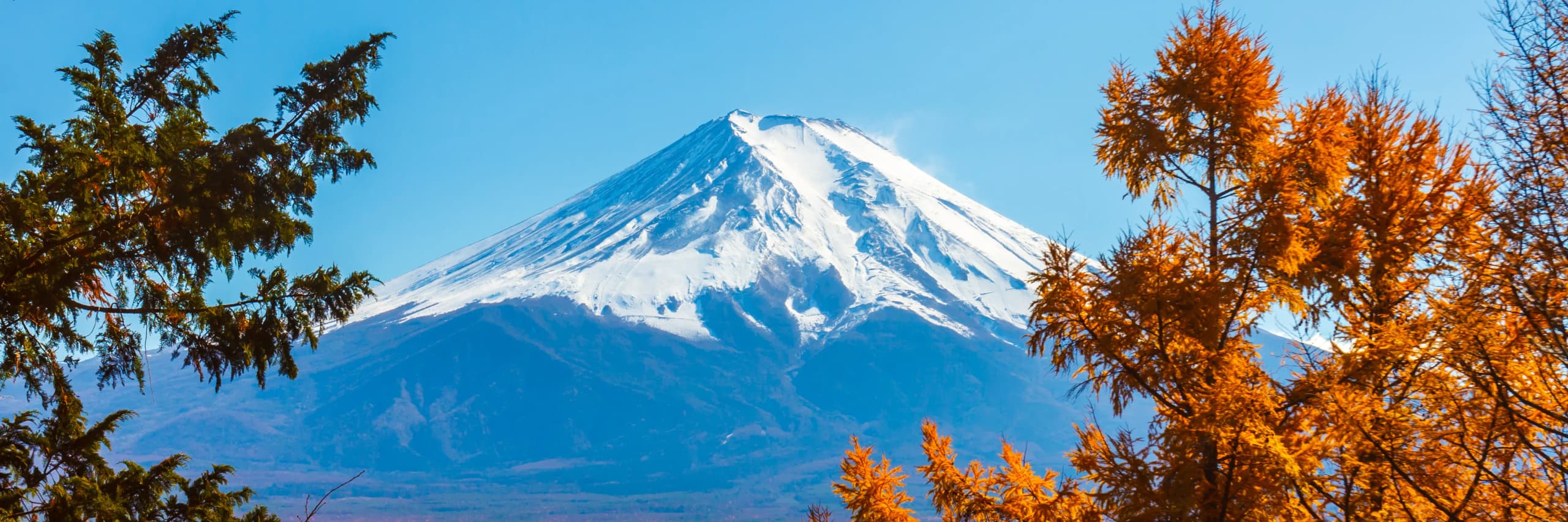 Best Time to Visit Japan: Seasons, Routes, and Planning Guide