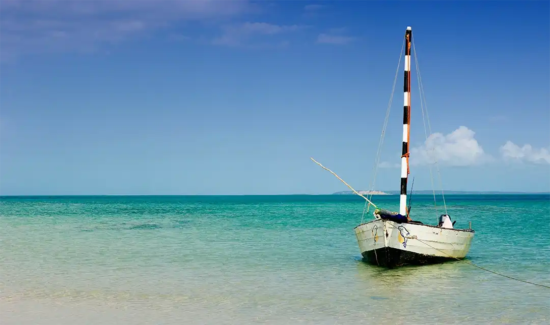 Tour highlight image