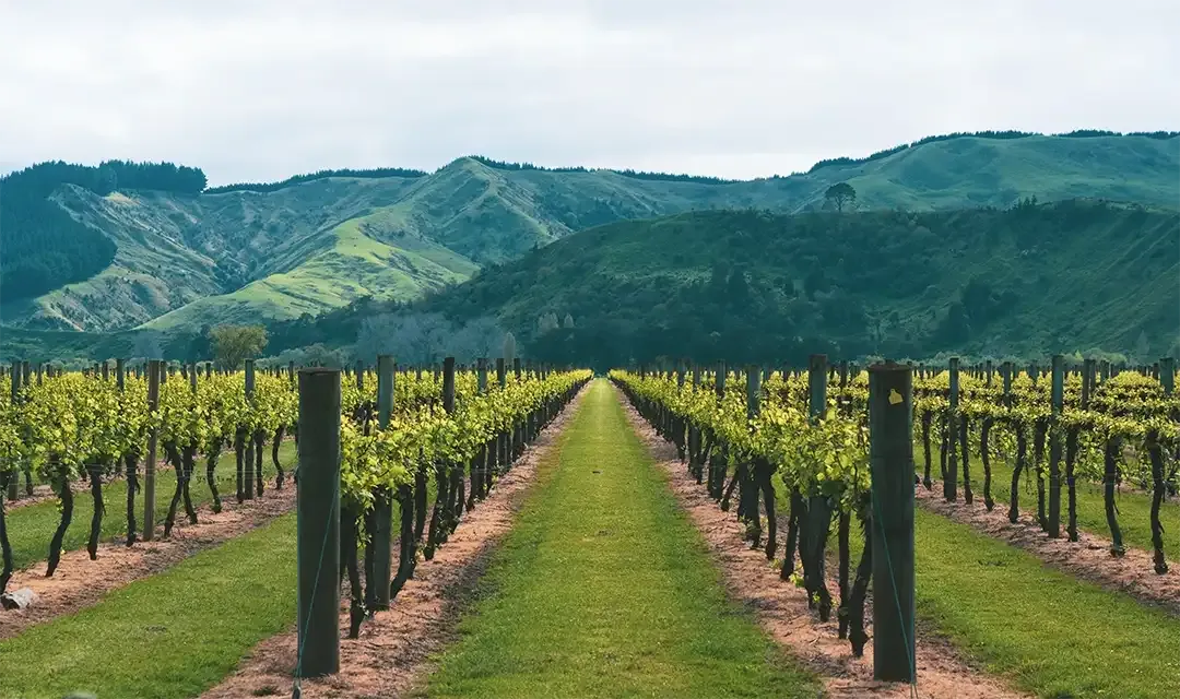 Tour highlight image