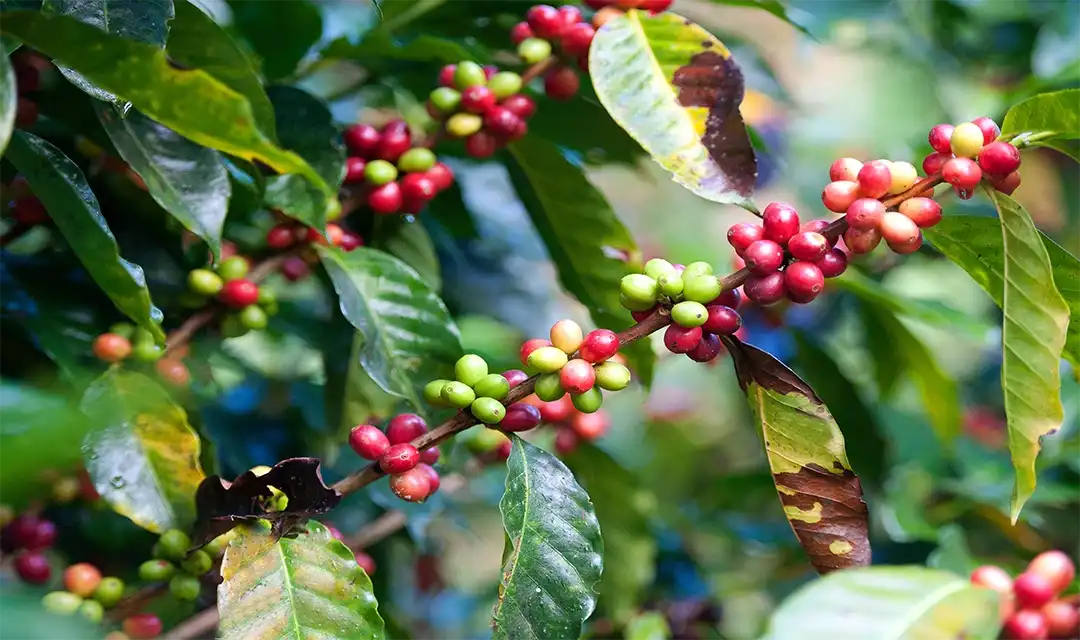 Tour highlight image