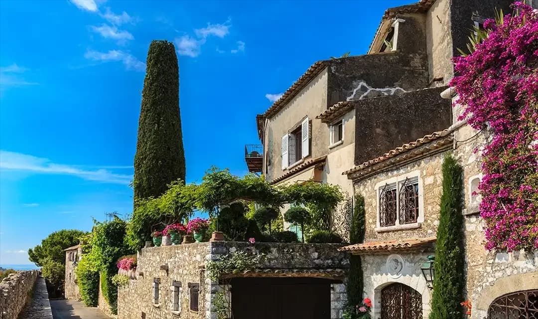 Tour highlight image