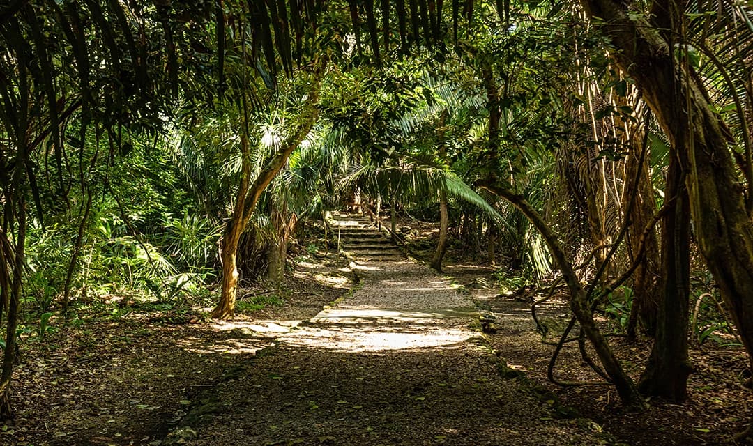 Tour highlight image