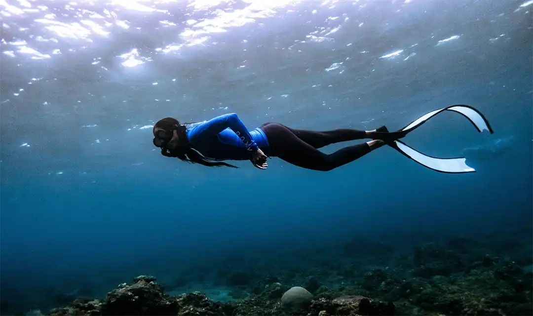 Tour highlight image