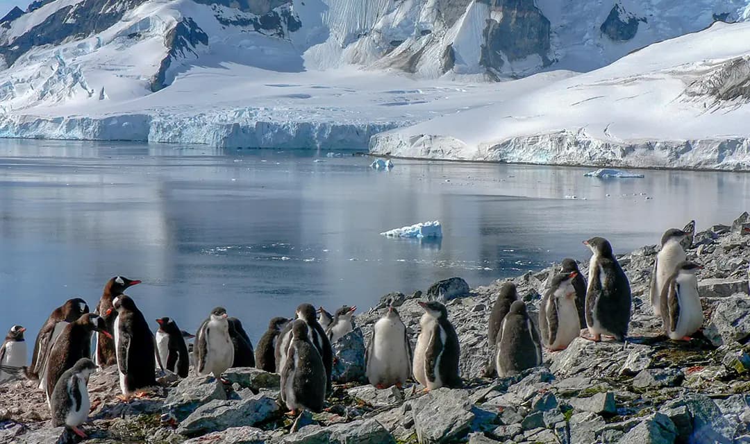 Tour highlight image