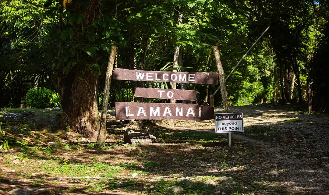 Tour highlight image