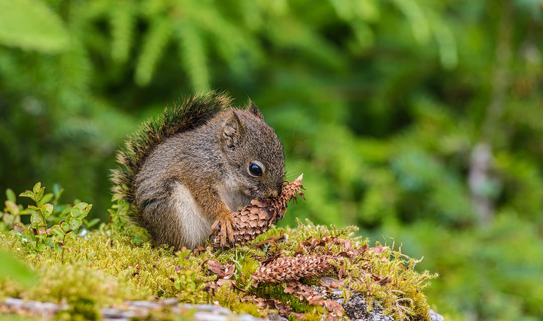 Tour highlight image